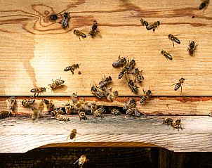 Unterkunft 327302 - Ferienhaus Veluwe - Vakantiehuisje in Hierden