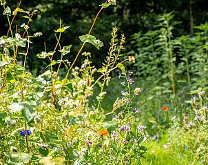 Unterkunft 327302 - Ferienhaus Veluwe - Vakantiehuisje in Hierden
