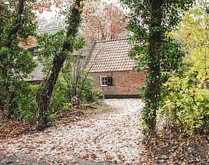 Unterkunft 327304 - Ferienhaus Veluwe - Vakantiehuisje in Hierden