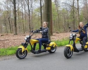 Unterkunft 327304 - Ferienhaus Veluwe - Vakantiehuisje in Hierden