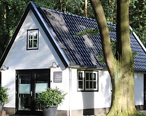 Cozy vacation home in Ugchelen, Veluwe, Gelderland with modern look and wooded area.