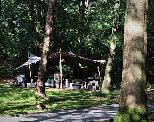 Cozy safari tent at Holiday Home in Ugchelen, Veluwe, Gelderland with wooded setting.