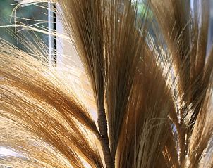 Decorative details in Holiday home in Ugchelen, Veluwe, Gelderland with natural elements.