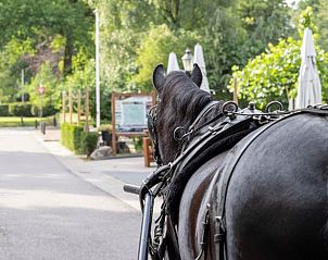 Horse and carriage near Holiday Home in Ugchelen, Veluwe, Gelderland for a ride.