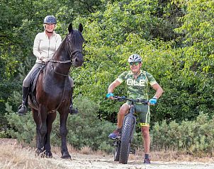 Horseback riding and cycling in nature around Holiday home in Ugchelen, Veluwe, Gelderland.