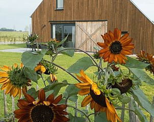 Vakantiehuis Huisje in Veessen op de Veluwe, Gelderland, met zonnebloemen in de tuin en landelijke charme.