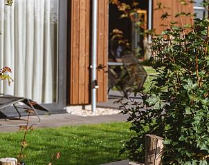Detail van de tuin bij Huisje in Veessen, Veluwe, met groene planten en terras voor ontspanning.