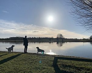 Prachtig uitzicht op de rivier bij Huisje in Veessen, Veluwe, perfect voor wandelingen in de natuur.
