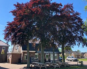 Guest house 328205 • Holiday property Veluwe • Vakantiehuis in Barneveld 