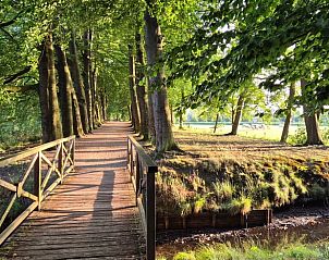 Unterkunft 328206 - Ferienhaus Veluwe - Huisje in Barneveld
