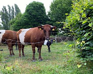 Verblijf 328301 - Vakantiewoning Veluwe - Vakantiehuisje in Hemmen