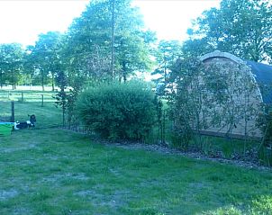 Groene tuin rondom Vakantiehuisje in Terschuur, Veluwe, ideaal voor natuurliefhebbers.