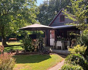 Unterkunft 328601 - Ferienhaus Veluwe - Huisje in Houtdorp gemeente Ermelo