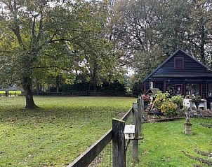 Unterkunft 328601 - Ferienhaus Veluwe - Huisje in Houtdorp gemeente Ermelo