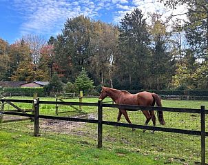 Unterkunft 328601 - Ferienhaus Veluwe - Huisje in Houtdorp gemeente Ermelo
