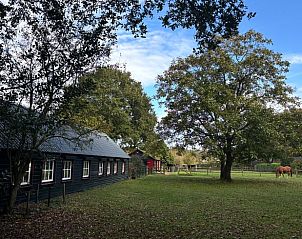 Unterkunft 328601 - Ferienhaus Veluwe - Huisje in Houtdorp gemeente Ermelo