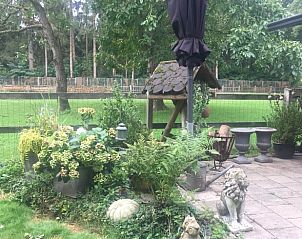 Unterkunft 328601 - Ferienhaus Veluwe - Huisje in Houtdorp gemeente Ermelo