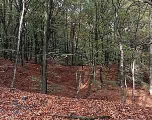 Unterkunft 328601 - Ferienhaus Veluwe - Huisje in Houtdorp gemeente Ermelo