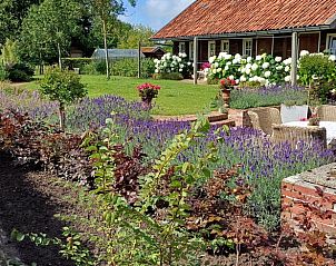 Prachtige tuin bij Vakantiehuisje in Uithuizermeeden, Noordoost Groningen, met kleurrijke bloemen en terras.