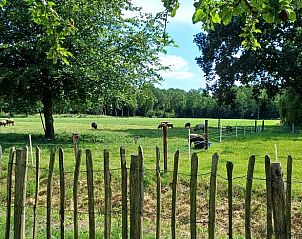 Rustige weide met schapen nabij Vakantiehuisje in Uithuizermeeden, Noordoost Groningen, omringd door natuur.