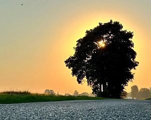 Adembenemende zonsondergang nabij Vakantiehuisje in Uithuizermeeden, Noordoost Groningen, met silhouet van boom.