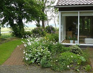 Bloeiende tuin bij Chalet Wildemansheerd in Schildwolde, vakantiehuis omgeven door natuur in Groningen.