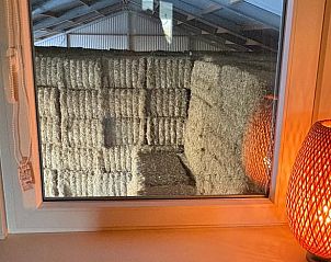 Verblijf 331002 - Vakantiewoning Noordoost Groningen - Vakantiehuisje in Schildwolde