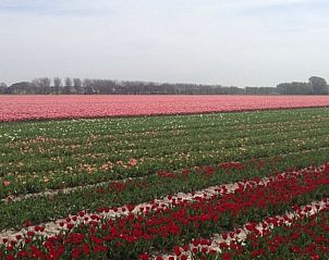 Verblijf 332102 - Vakantiewoning Noordoost Groningen - Vakantiehuis in Wirdum