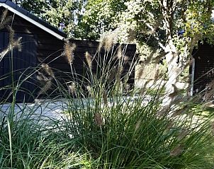 Verblijf 332304 - Bungalow Noordwest Groningen - Robbenoort 101, 'de Zeearend'