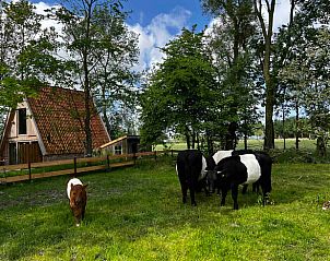 Verblijf 333103 • Vakantiewoning Noordoost Groningen • Vakantiehuisje in Tinallinge 