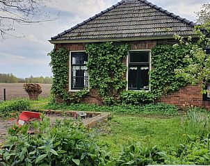 Buitenkant van Vakantiehuisje in Uithuizen, omgeven door groene planten in Groningen.