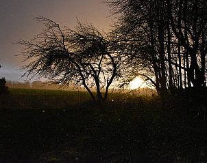 Avondzicht vanuit Vakantiehuisje in Uithuizen, Noordoost Groningen met silhouetten van bomen.