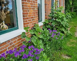 Verblijf 333202 - Vakantiewoning Noordoost Groningen - Huisje in Uithuizen