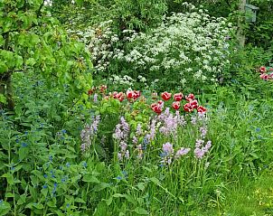 Verblijf 333202 - Vakantiewoning Noordoost Groningen - Huisje in Uithuizen