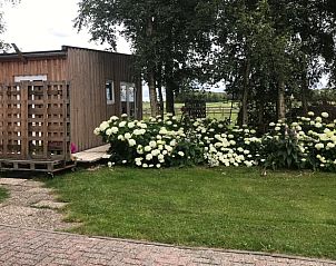 Bloeiende tuin bij Vakantiehuis in Overschild, Groningen.