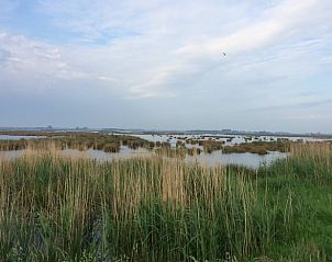 Waterrijk natuurgebied nabij Vakantiehuis in Overschild, Noordoost Groningen.