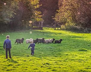 Verblijf 333901 - Vakantie appartement Zuid Limburg - Van der Valk Hotel Heerlen
