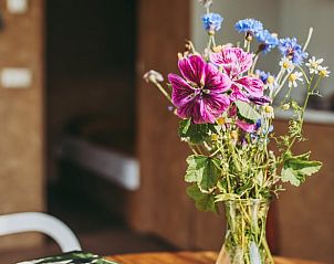 Verse bloemen in Huisje in Usquert, vakantiehuis in Groningen, creren een sfeervolle ambiance.