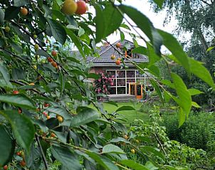 Weelderige tuin en veranda van Vakantiehuis in Roodeschool, een oase van groen in Noordoost Groningen.