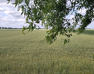 Uitzicht op uitgestrekte velden vanuit Vakantiehuis in Roodeschool, rustgevende omgeving in Noordoost Groningen.
