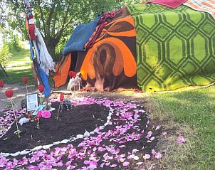 Spirituele ruimte met bloemen bij Vakantiehuis in Roodeschool, een plek van bezinning in Noordoost Groningen.