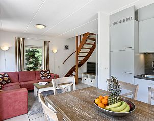 Unterkunft 341311 - Bungalow Noordwest Groningen - Natuurdorp Suyderoogh | 4-6-persoons bungalow - Breed toegan