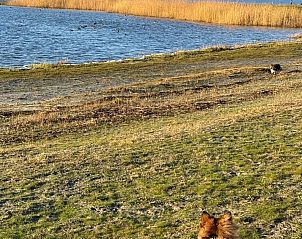 Unterkunft 341319 - Appartement Noordwest Groningen - Appartement Chalet in Strandnähe