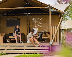 Verblijf 341814 - Tenthuis Noordwest Groningen - Safaritent 8