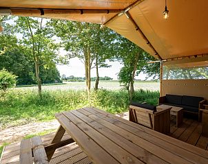 Verblijf 341814 - Tenthuis Noordwest Groningen - Safaritent 8