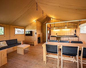 Verblijf 341814 - Tenthuis Noordwest Groningen - Safaritent 8