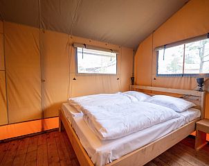 Verblijf 341814 - Tenthuis Noordwest Groningen - Safaritent 8