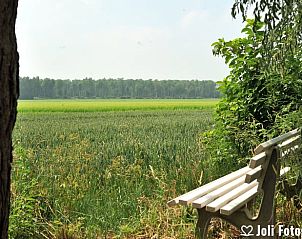Zitbank met uitzicht op de natuur bij Vakantiehuis in Ter Apel, ideaal voor ontspanning.