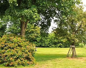 Ruime tuin bij Vakantiehuis in Ter Apel, met volwassen bomen en veel groen.