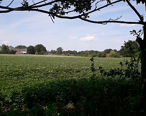 Landelijk uitzicht vanuit Vakantiehuis in Ter Apel, ideaal voor natuurliefhebbers in Groningen.